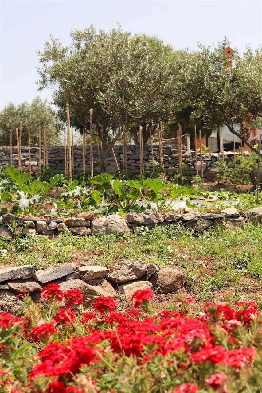 La Rosa Dei Venti Sennariolo Exterior foto