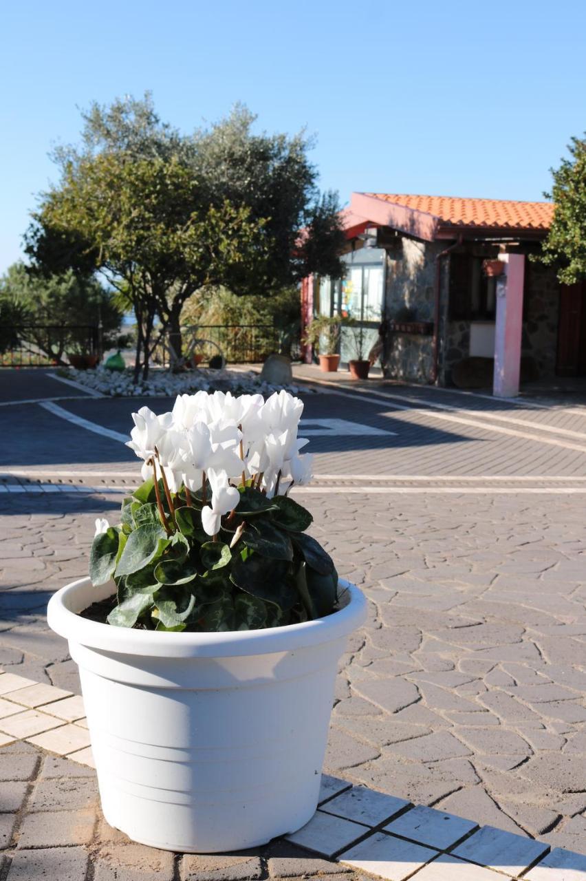 La Rosa Dei Venti Sennariolo Exterior foto